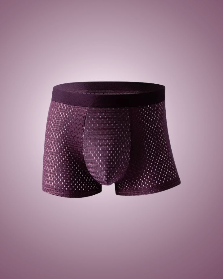 Boxer homme en bambou BioFit® – Pack de 5 – photo 5